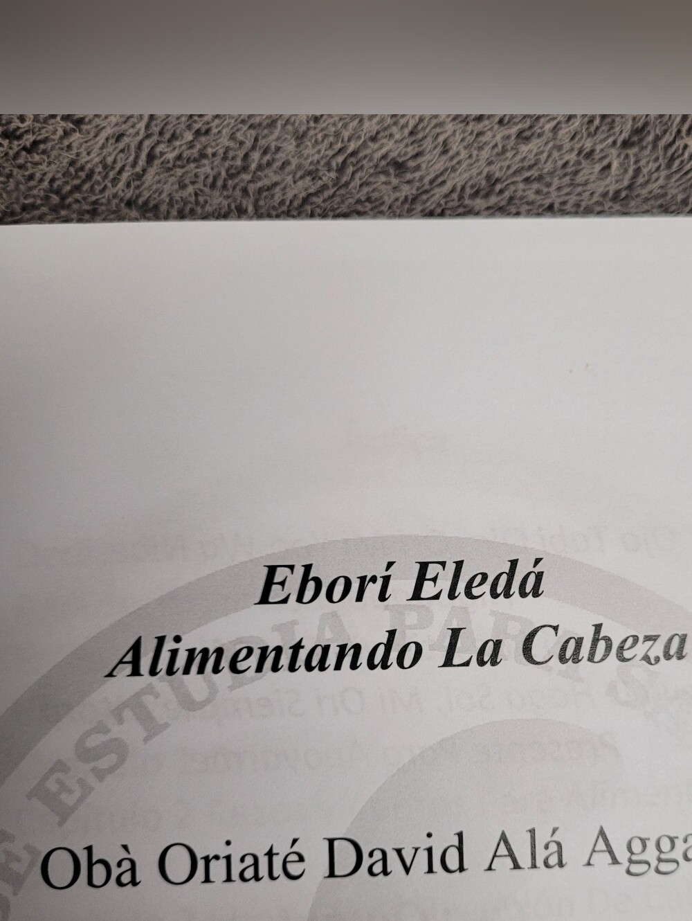 EBORI ELEDA - Alimentando La Cabeza. Spanish Book (Español) - Picture 3 of 7